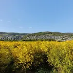 Am Huegel דירה שמאלנברג