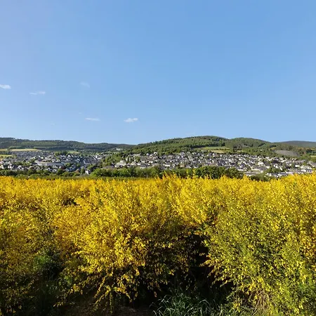 Am Hügel Apartment Schmallenberg